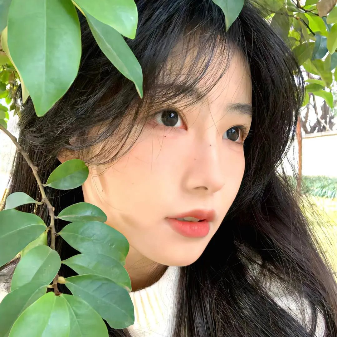 我不是预言家 在线观看封面