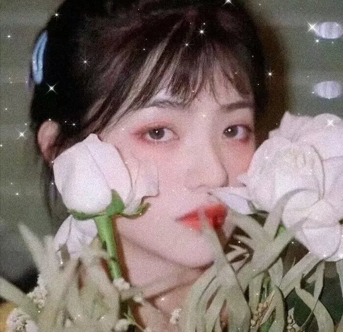 月上重火 在线观看封面